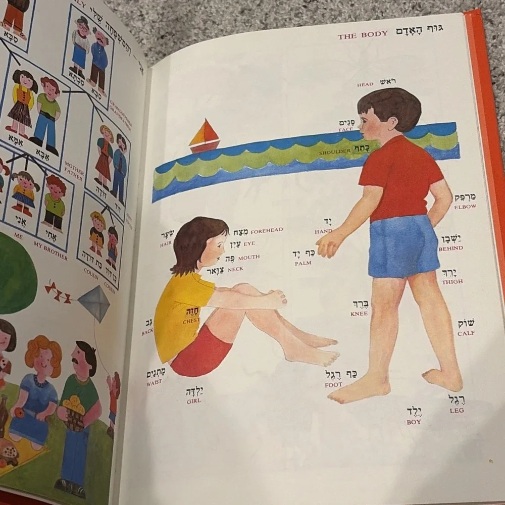2 Children's Dictionaries Hebrew-English Picture Dictionary Hardcover Vintage